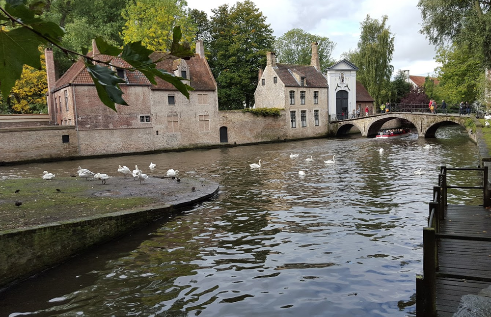 Узнаем почему Максимиллиан Австрийский приказал до окончания времени держать лебедей у его стен. Посетим существующую с 1546 года пивоварню Халве Мун и попробуем пивной суп.